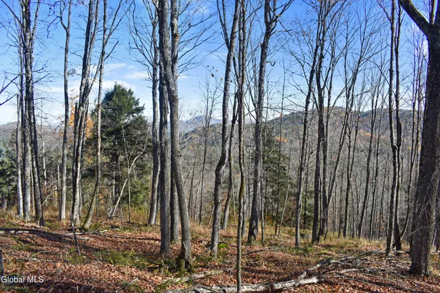 $99,500 | 261 Valentine Pond Road, Horicon, NY 12860