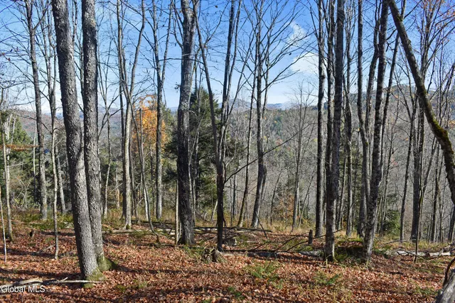 $99,500 | 261 Valentine Pond Road, Horicon, NY 12860