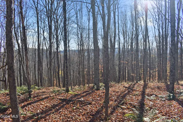 $99,500 | 261 Valentine Pond Road, Horicon, NY 12860