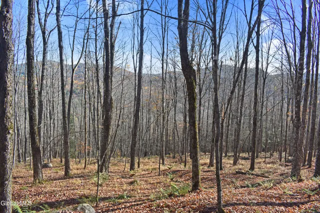 $99,500 | 261 Valentine Pond Road, Horicon, NY 12860