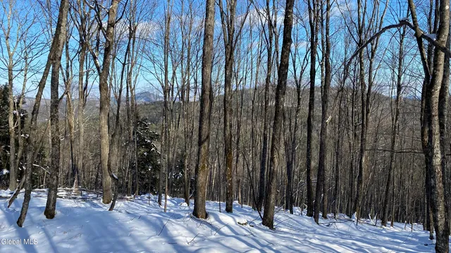 $99,500 | 261 Valentine Pond Road, Horicon, NY 12860