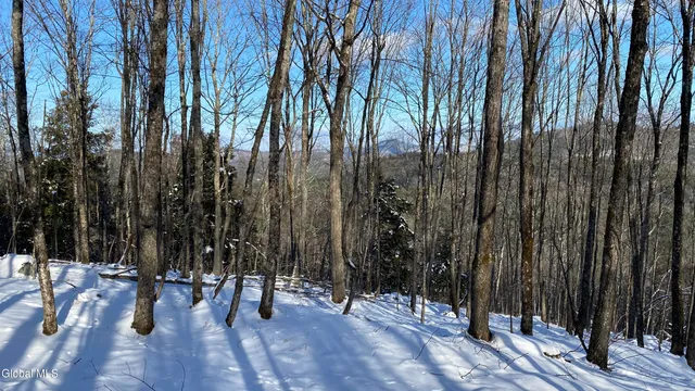 $99,500 | 261 Valentine Pond Road, Horicon, NY 12860