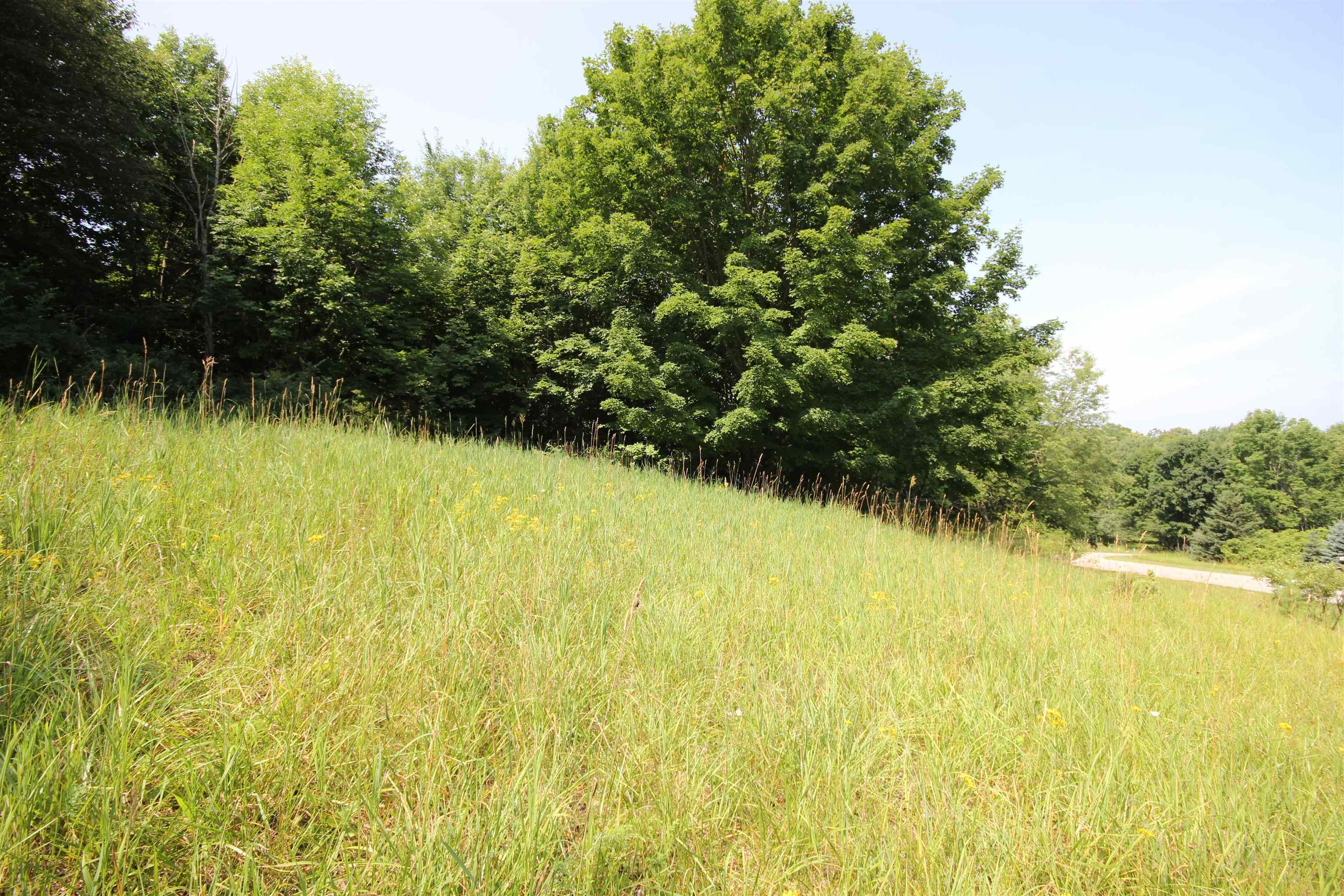 0 Deer Ridge Trail Beulah, MI 49617 - Photo 14 of 39