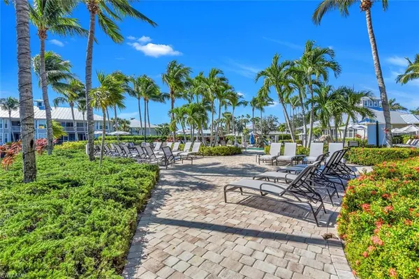 a view of a yard with plants and palm trees