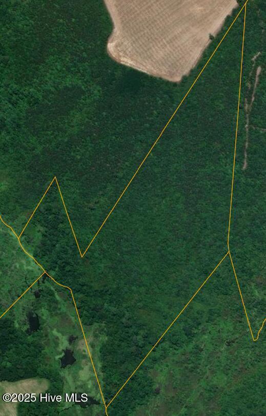 0 East Darden Road Faison, NC 28341 - Photo 1 of 7 GIS Photo