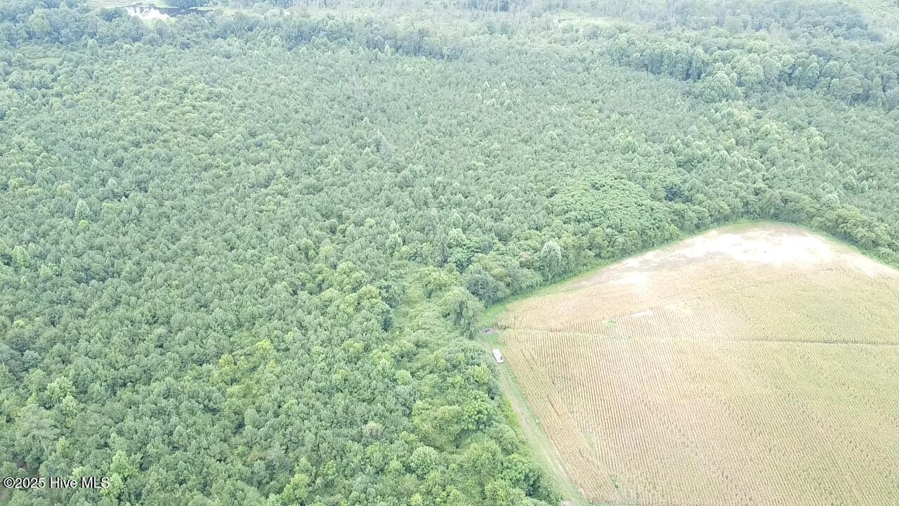 0 East Darden Road Faison, NC 28341 - Photo 2 of 7 2025-08-05-11-20-42-836