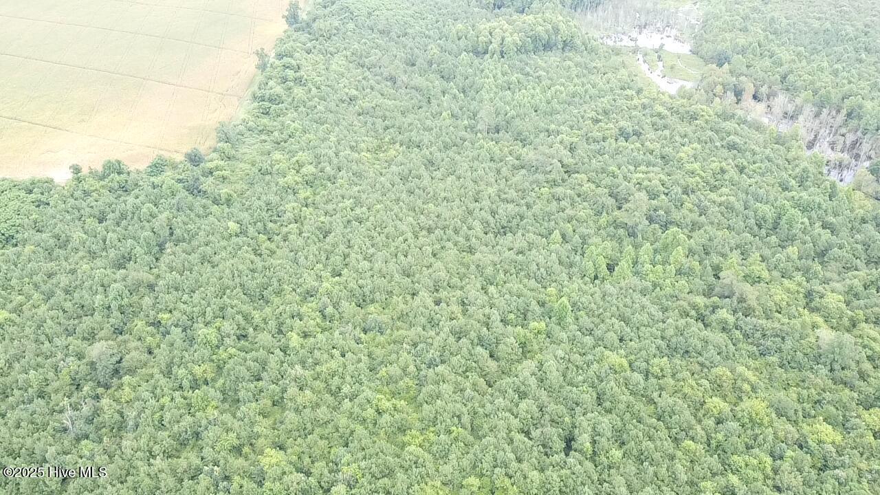 0 East Darden Road Faison, NC 28341 - Photo 5 of 7 2025-08-05-11-22-32-933