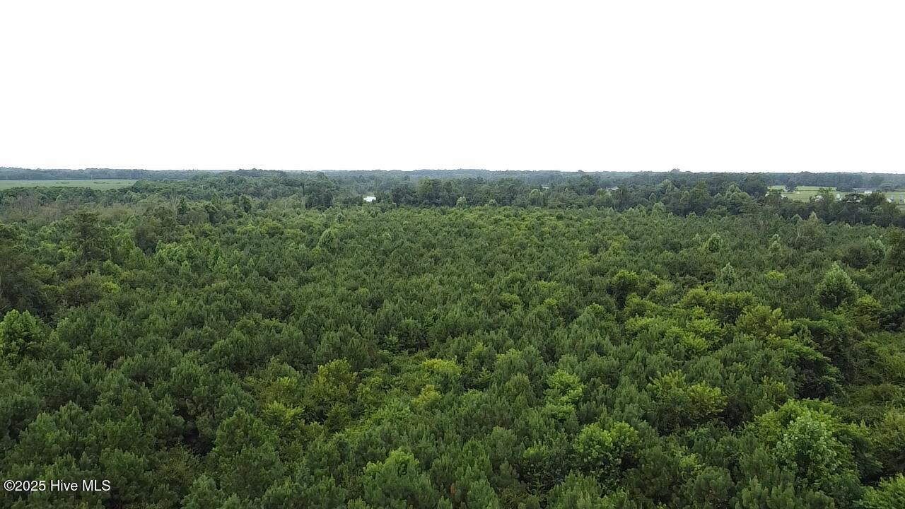 0 East Darden Road Faison, NC 28341 - Photo 6 of 7 2025-08-05-11-26-58-113
