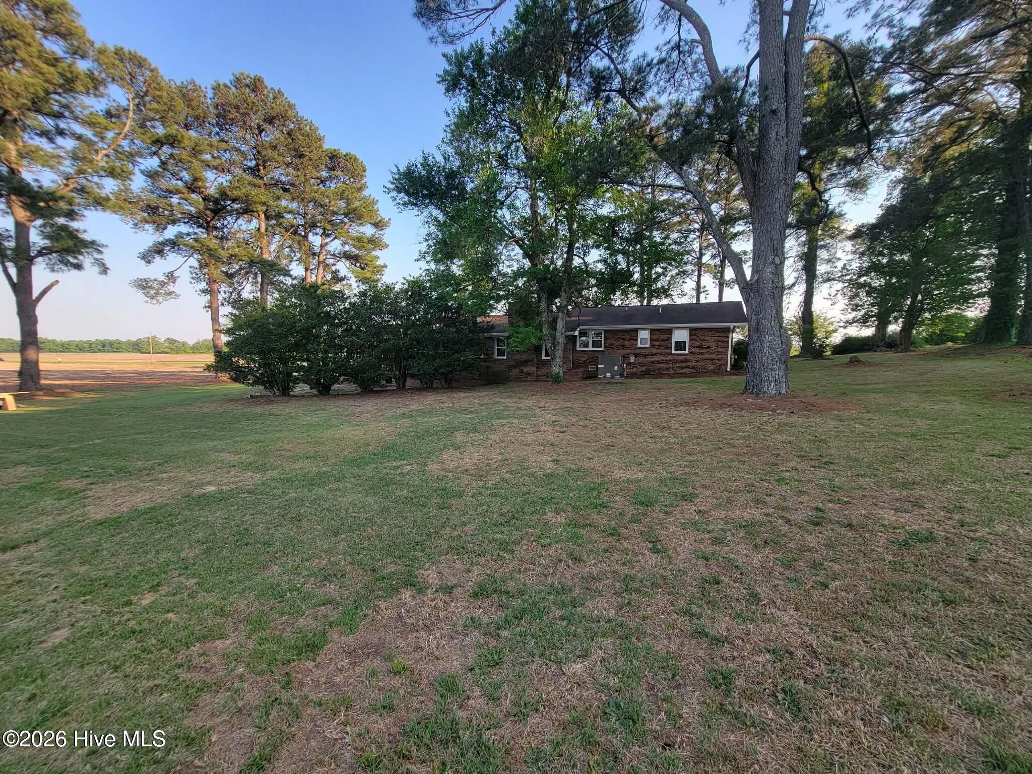 4338 Grifton Hugo Road Grifton, NC 28530 - Photo 13 of 55 Large Backyard