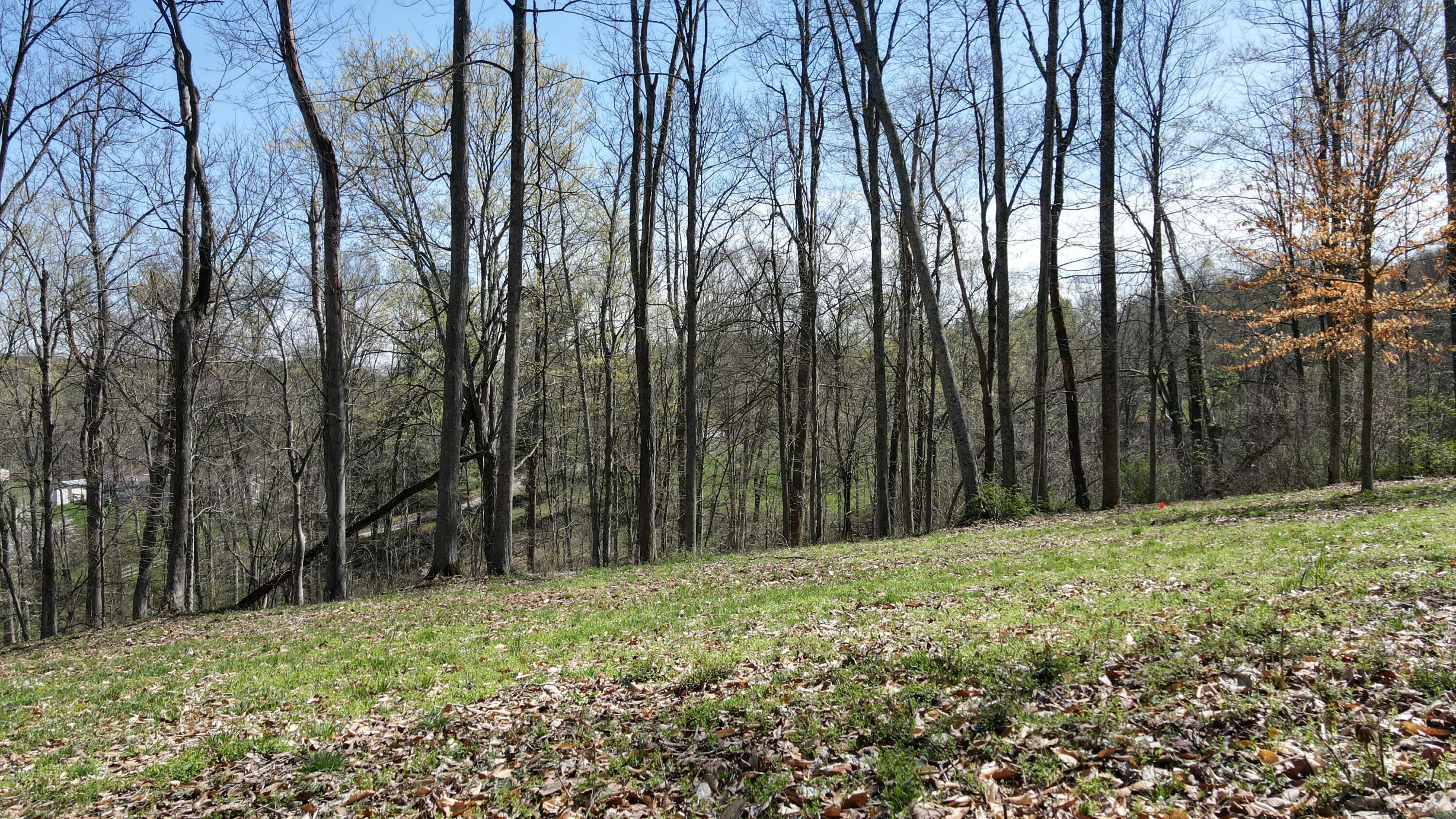 0 Swamp Road Logan, OH 43138 - Photo 22 of 28 tempImageBLMjAV