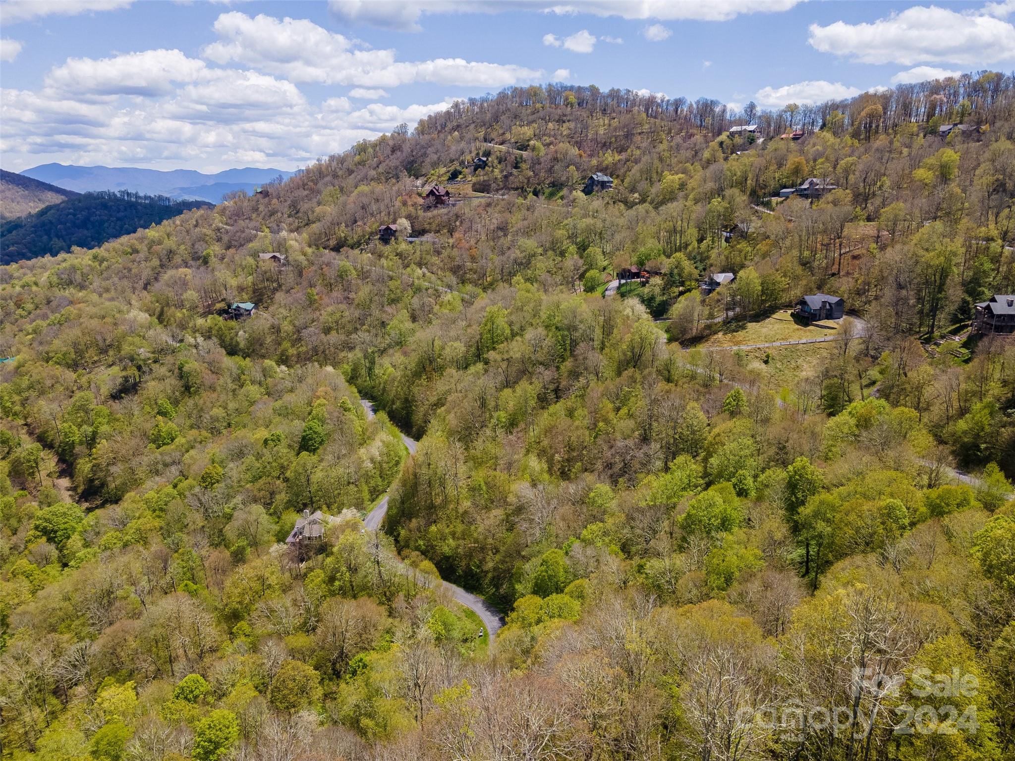 93 Goldenleaf Road, Unit 93 & 95 Mars Hill, NC 28754 - Photo 11 of 22 a view of a bunch of trees in a city