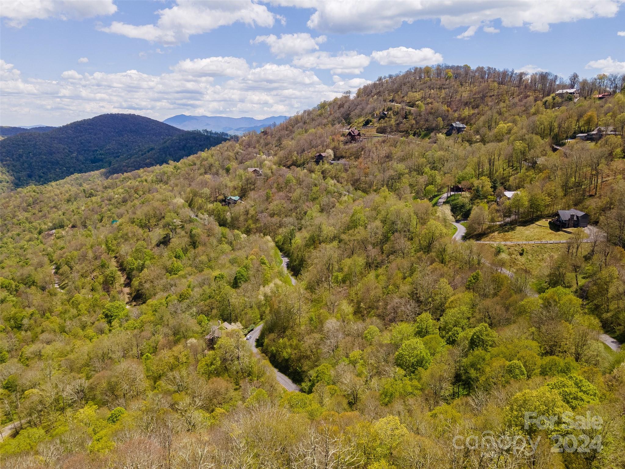 93 Goldenleaf Road, Unit 93 & 95 Mars Hill, NC 28754 - Photo 14 of 22 a view of a large trees with mountains in the background