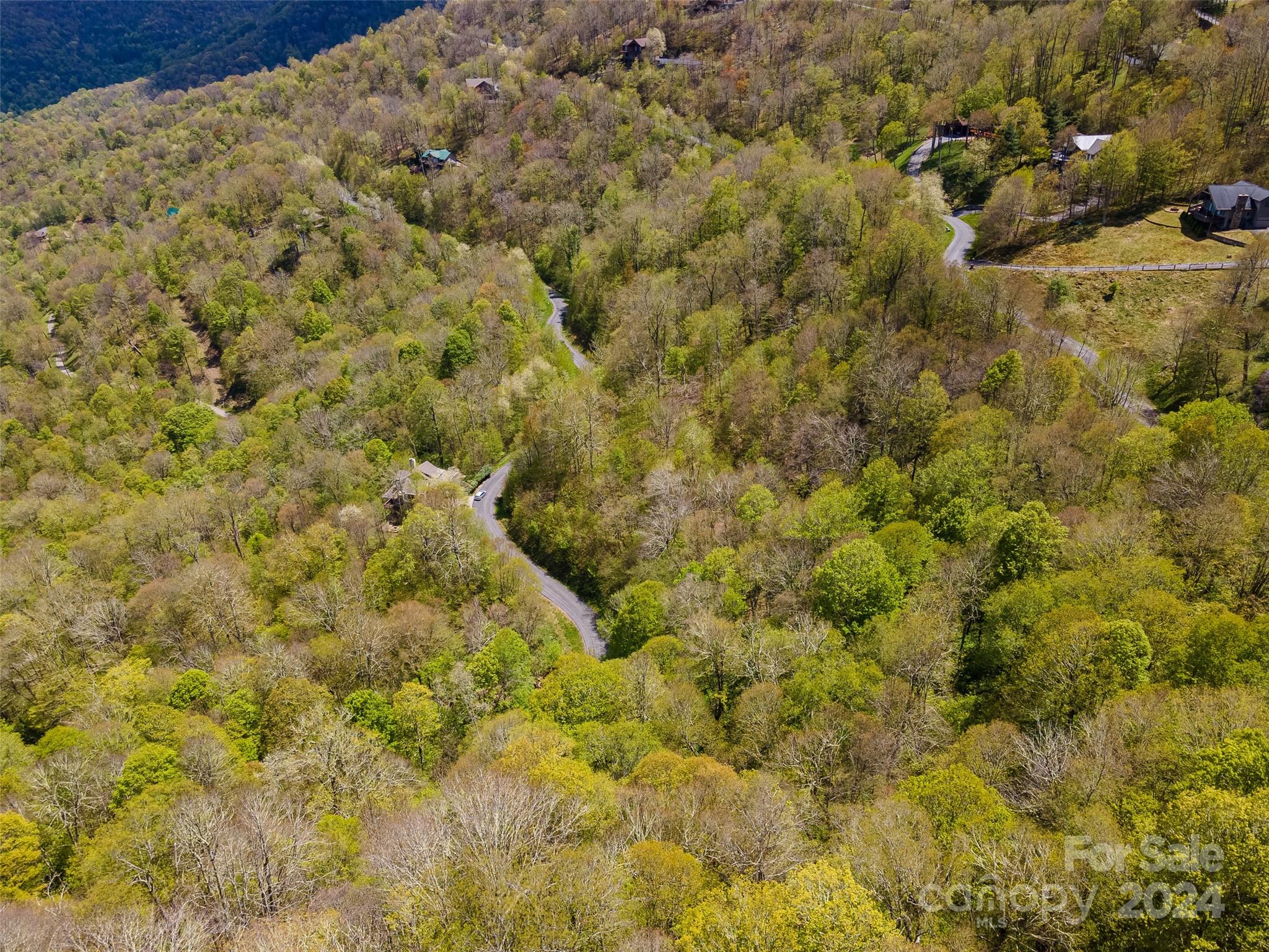 93 Goldenleaf Road, Unit 93 & 95 Mars Hill, NC 28754 - Photo 15 of 22 a view of a yard