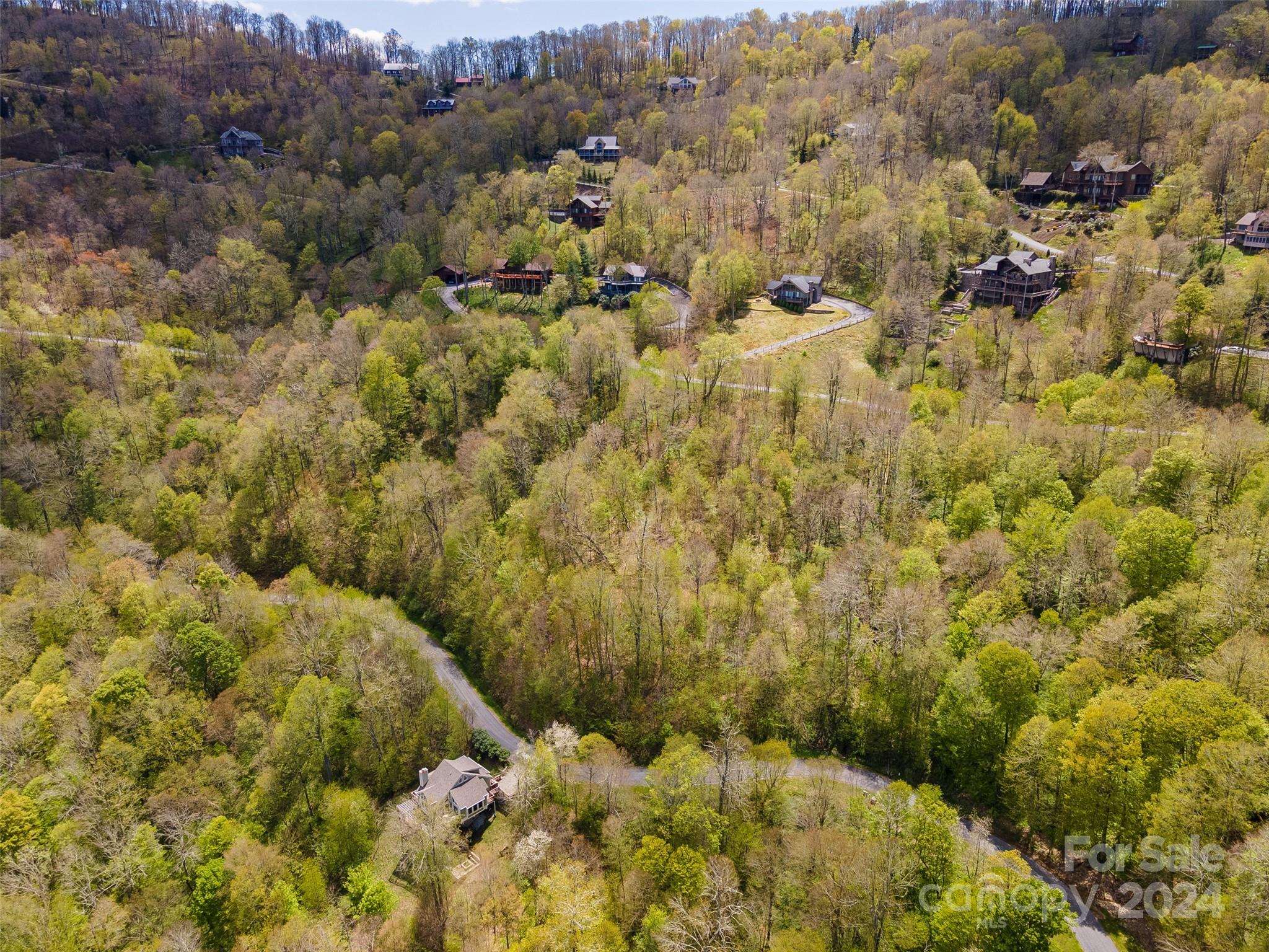 93 Goldenleaf Road, Unit 93 & 95 Mars Hill, NC 28754 - Photo 17 of 22 a view of a bunch of trees and houses