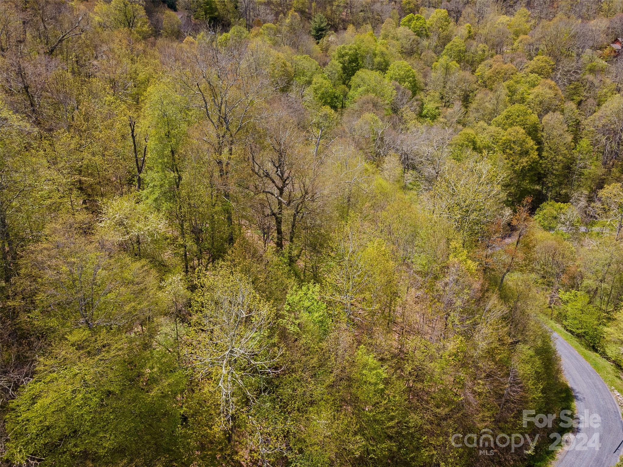 93 Goldenleaf Road, Unit 93 & 95 Mars Hill, NC 28754 - Photo 20 of 22