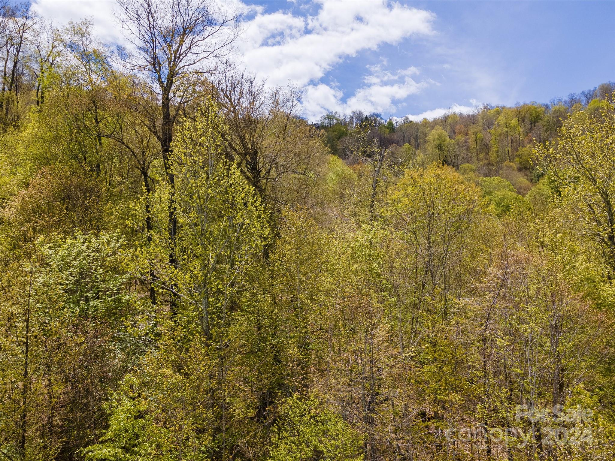 93 Goldenleaf Road, Unit 93 & 95 Mars Hill, NC 28754 - Photo 21 of 22 a view of a yard