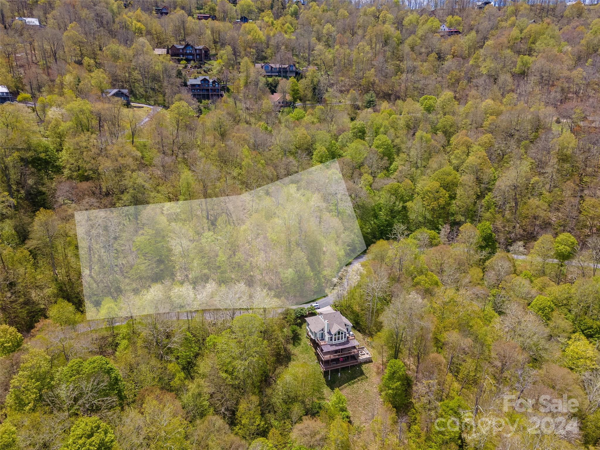 93 Goldenleaf Road, Unit 93 & 95 Mars Hill, NC 28754 - Photo 3 of 22