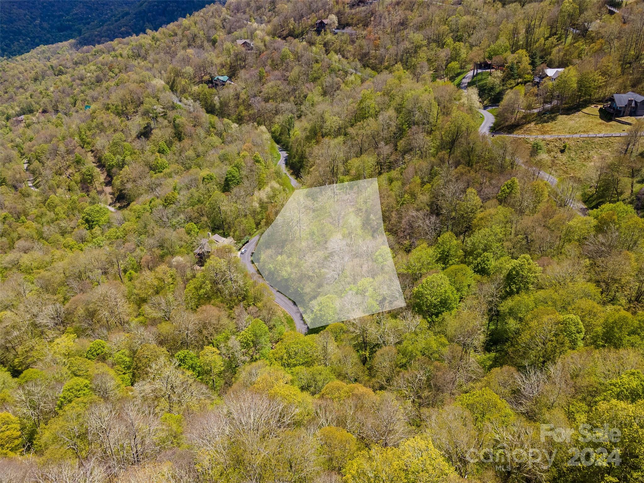 93 Goldenleaf Road, Unit 93 & 95 Mars Hill, NC 28754 - Photo 4 of 22 a view of a dry yard