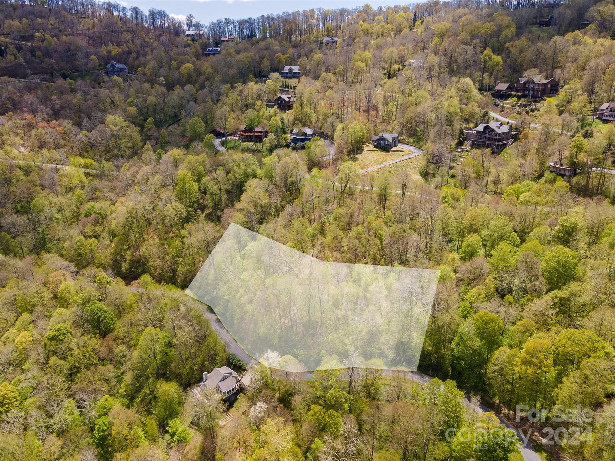 93 Goldenleaf Road, Unit 93 & 95 Mars Hill, NC 28754 - Photo 5 of 22 a view of swimming pool from a lake view