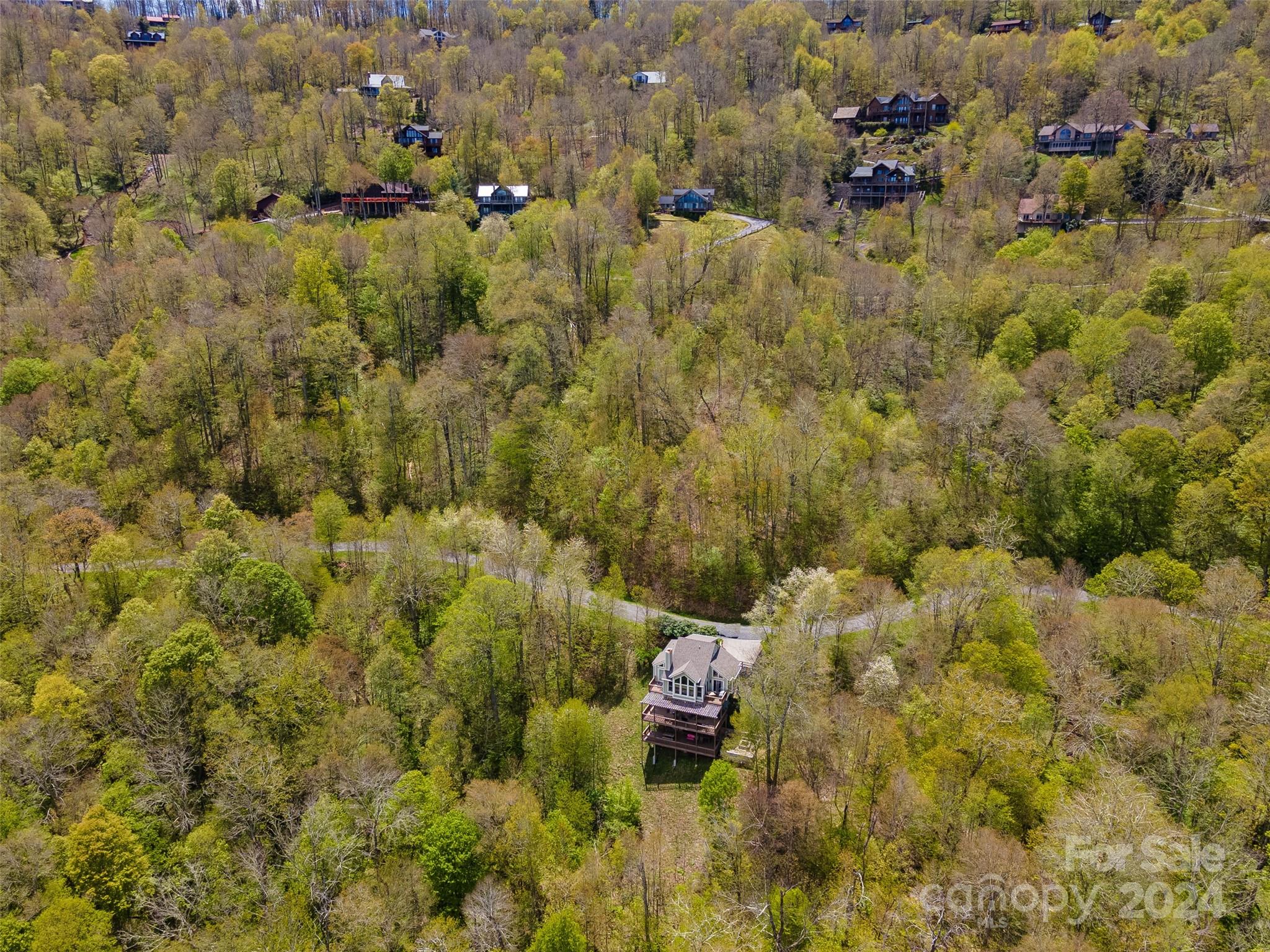 93 Goldenleaf Road, Unit 93 & 95 Mars Hill, NC 28754 - Photo 8 of 22 a view of city and green space