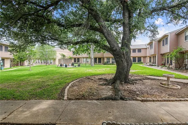 a view of a garden with a tree