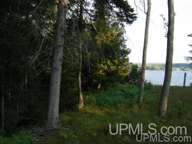 Tbd North Grosse Point Shores Road Dollar Bay, MI 49922 - Photo 16 of 16