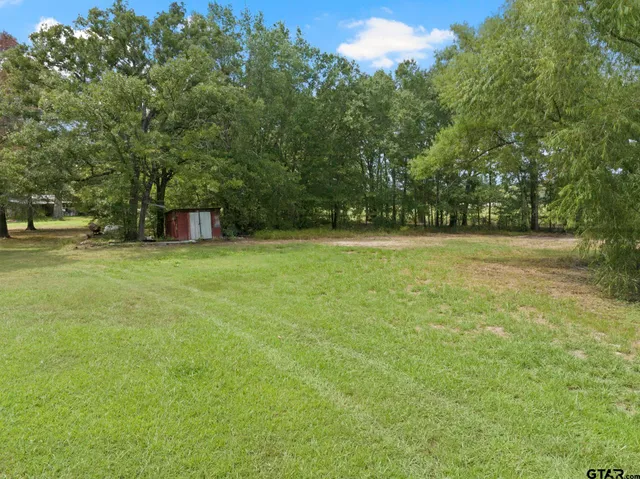 a view of a yard with a trees