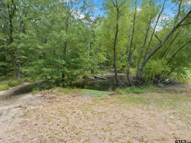 a view of backyard with green space
