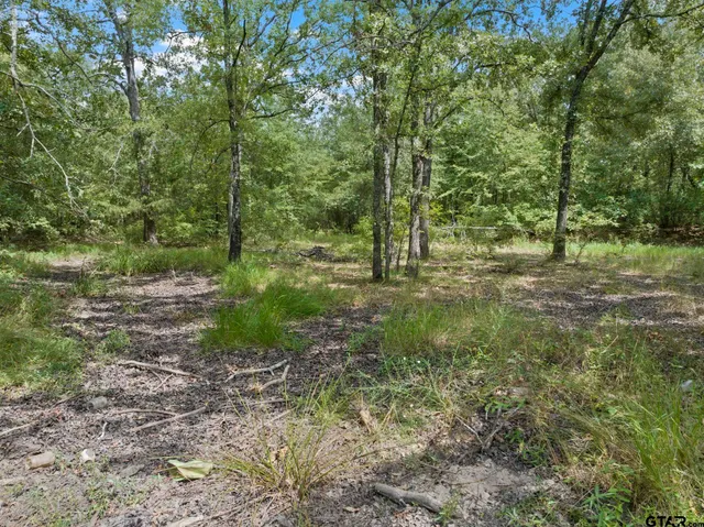 a big yard with lots of green space and trees