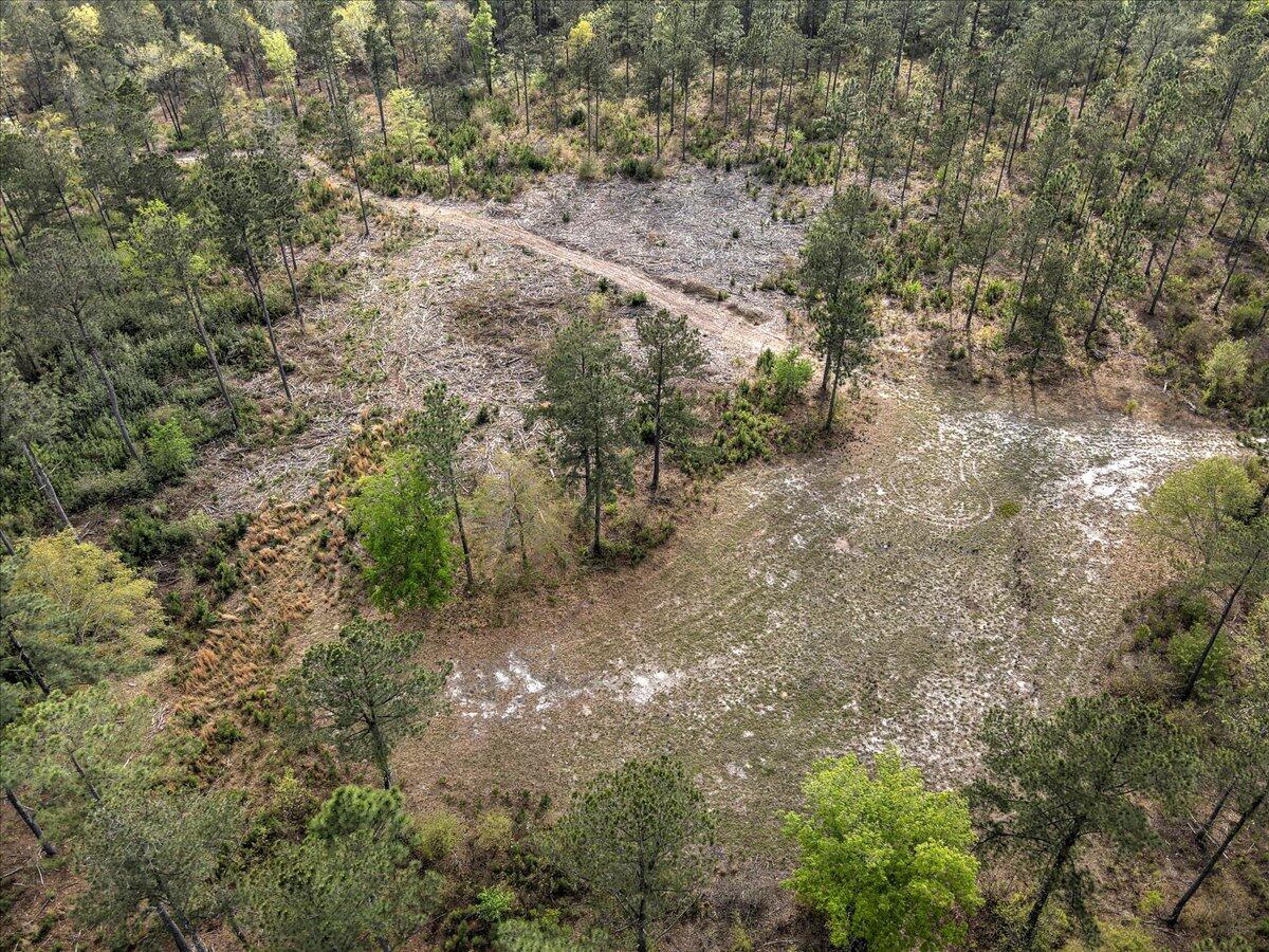0 Deer Run Road, Unit E Williston, SC 29853 - Photo 8 of 15