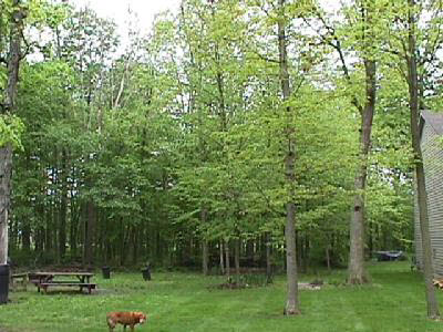 11220 Branstrator Road Fort Wayne, IN 46809 - Photo 3 of 7