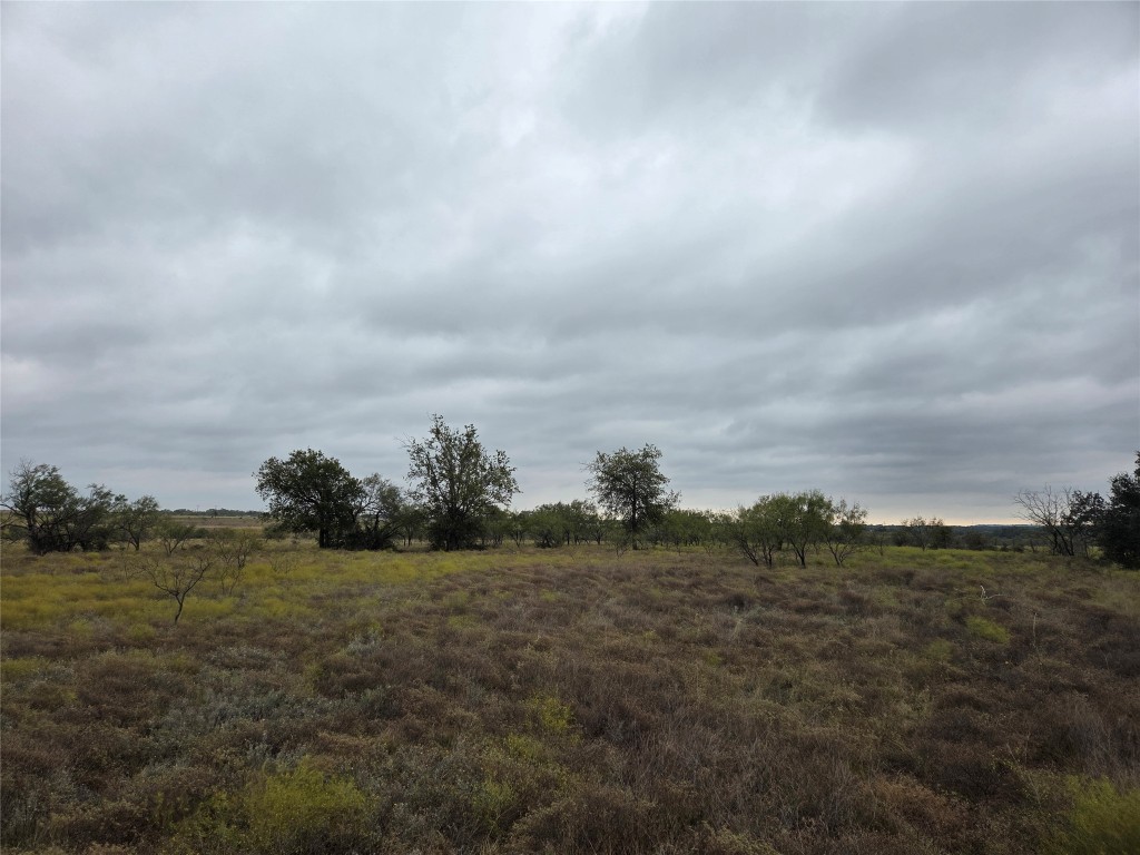 2860 North Fm 1702 Hamilton, TX 76531 - Photo 3 of 9 a view of a field with trees in background