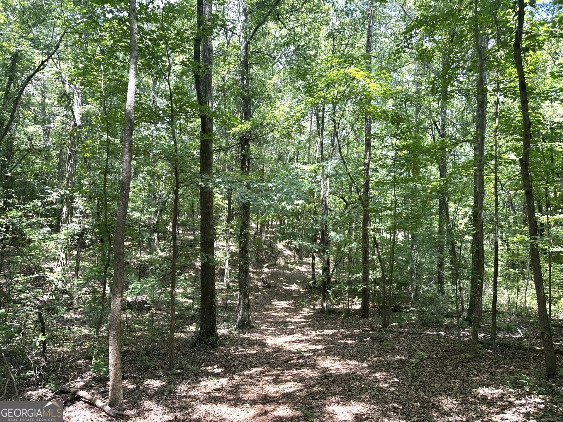 2200 Duffell Martin Road Comer, GA 30629 - Photo 12 of 21