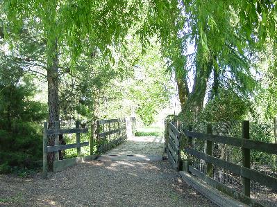 10385 Green Meadow Road Sebastopol, CA 95472 - Photo 4 of 4 a backyard of a house with lots of green space