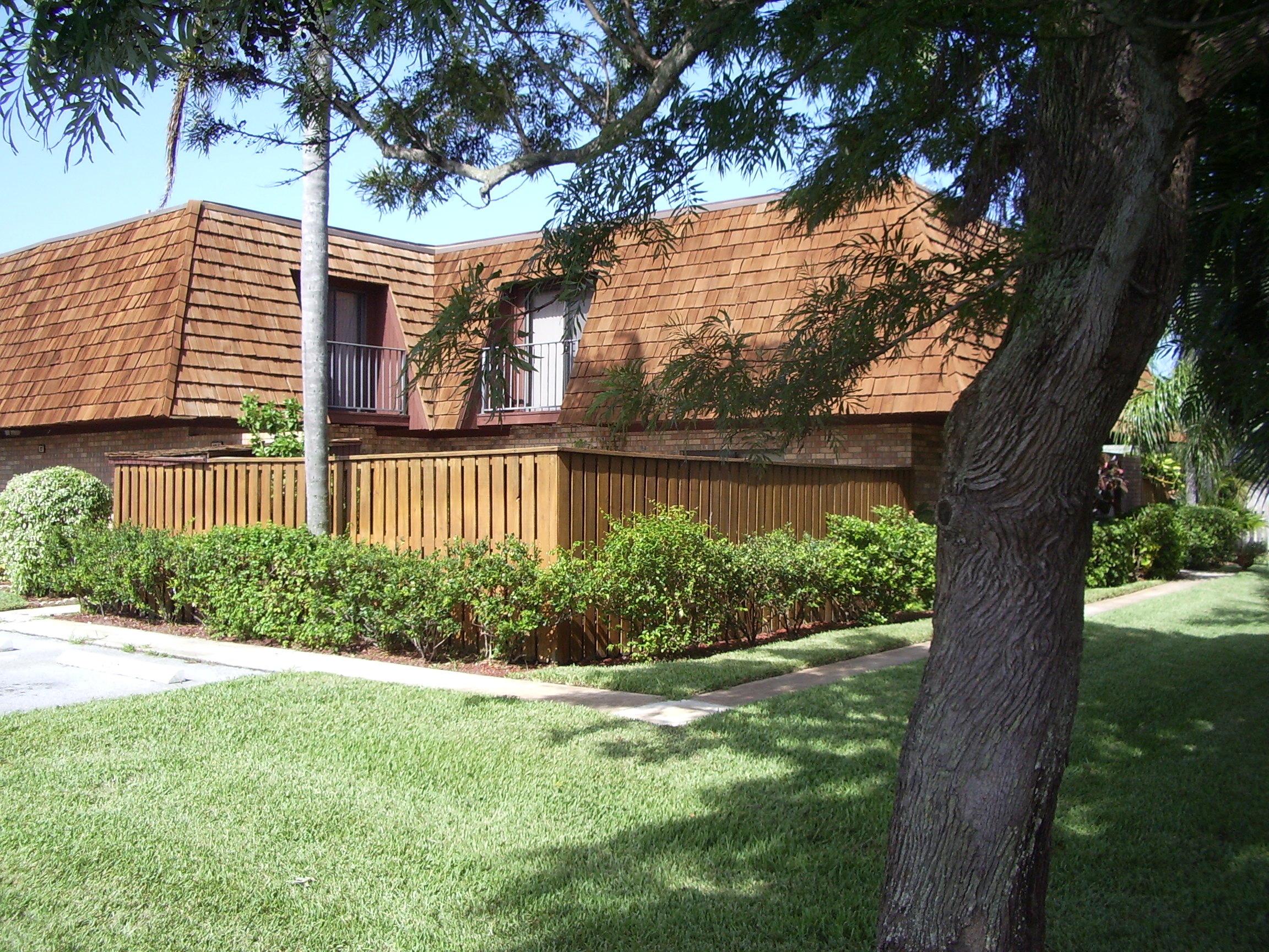 a view of a yard in front of a house with a large tree