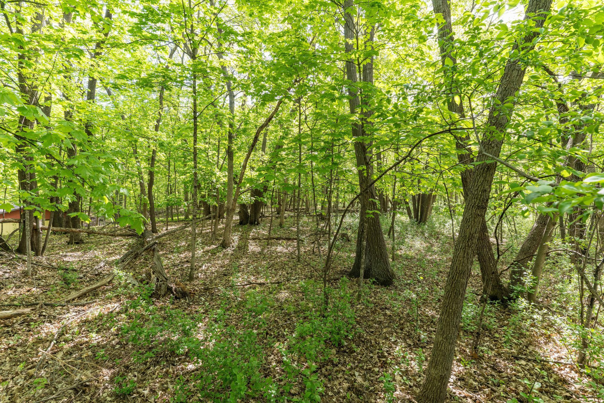2808 Government Point Road Northeast Alexandria, MN 56308 - Photo 66 of 78