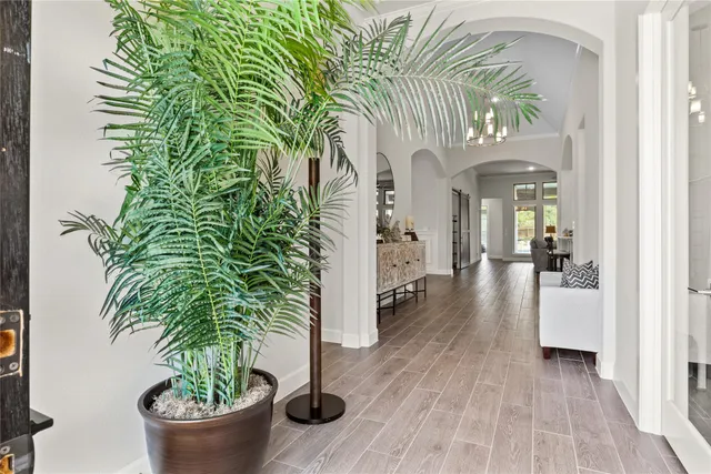 a view of a hallway with potted plants and couches