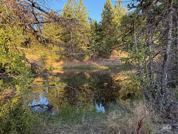 $230,000 | 993 Norton Knob Lane, Orofino, ID 83544