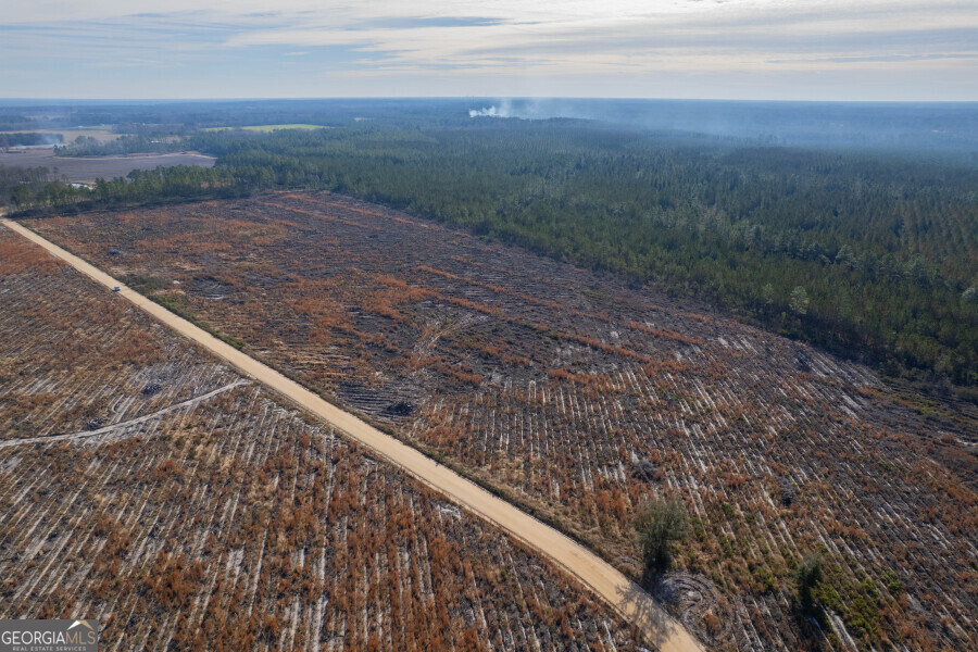 5 Morris Break Road Odum, GA 31555 - Photo 11 of 13 a view of a yard with an outdoor space