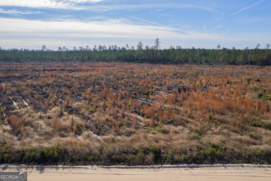 5 Morris Break Road Odum, GA 31555 - Photo 12 of 13 a view of mountain with lake view
