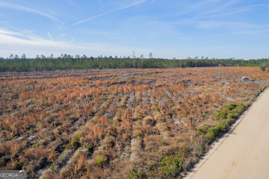 5 Morris Break Road Odum, GA 31555 - Photo 13 of 13 a view of a lake with houses in the back