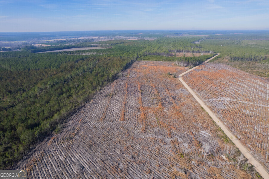 5 Morris Break Road Odum, GA 31555 - Photo 2 of 13 a view of a road with an ocean view