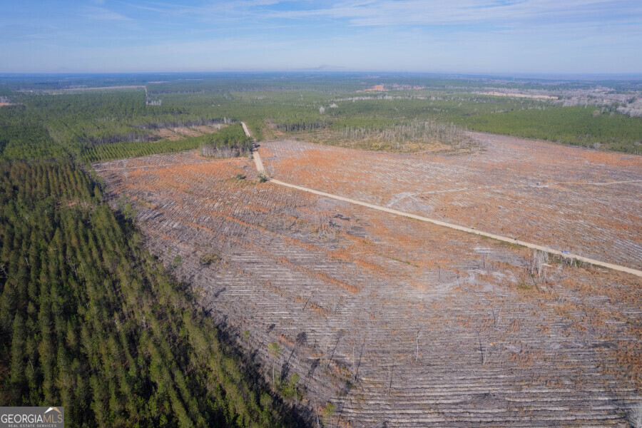 5 Morris Break Road Odum, GA 31555 - Photo 4 of 13 a view of an ocean and beach