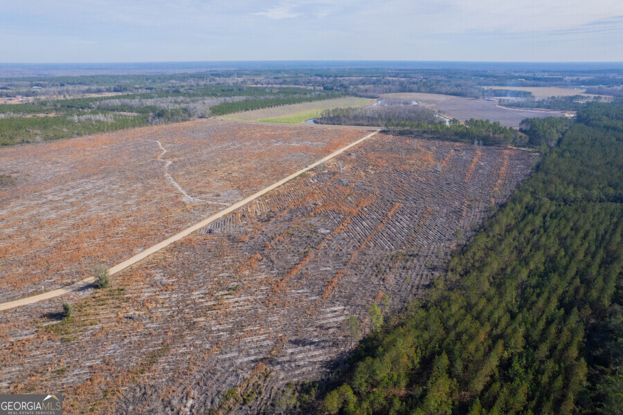 5 Morris Break Road Odum, GA 31555 - Photo 7 of 13 an aerial view of a house with a yard