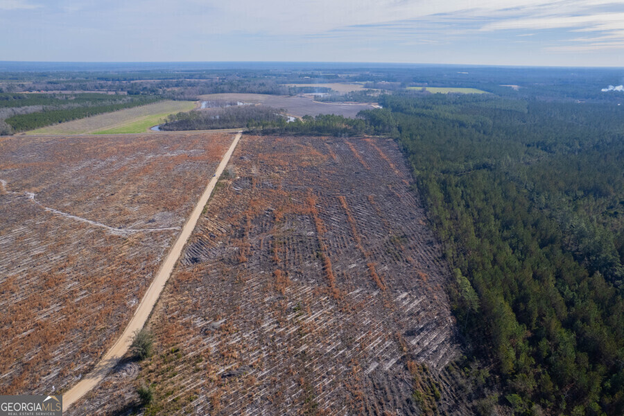5 Morris Break Road Odum, GA 31555 - Photo 9 of 13 a view of a yard with an outdoor space