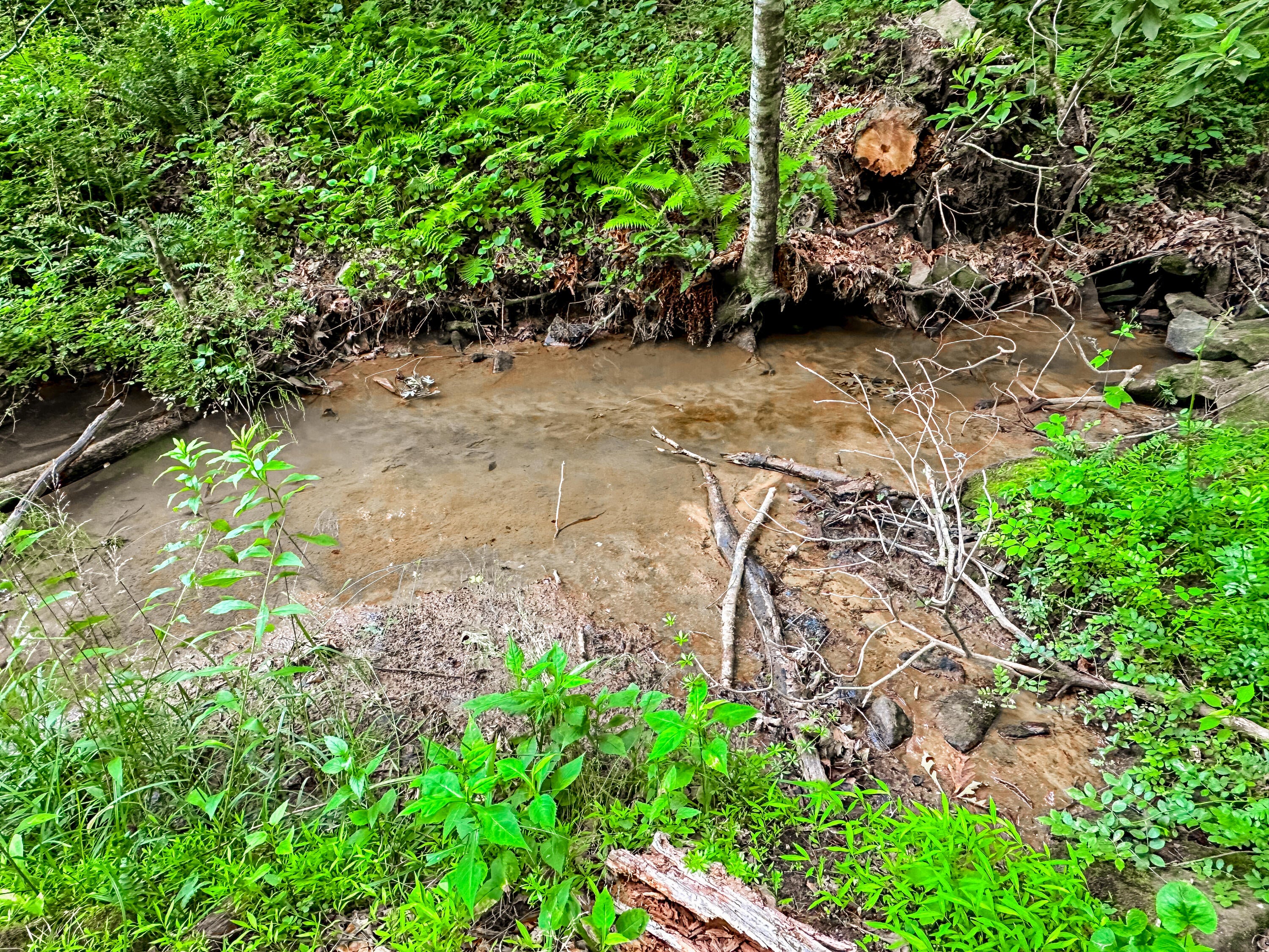 948 Pumpkin Center Road Renick, WV 24966 - Photo 24 of 25 Gallery Image 24