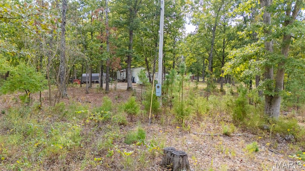 0 State Rte T Newburg, MO 65550 - Photo 4 of 15 Gallery Image 4