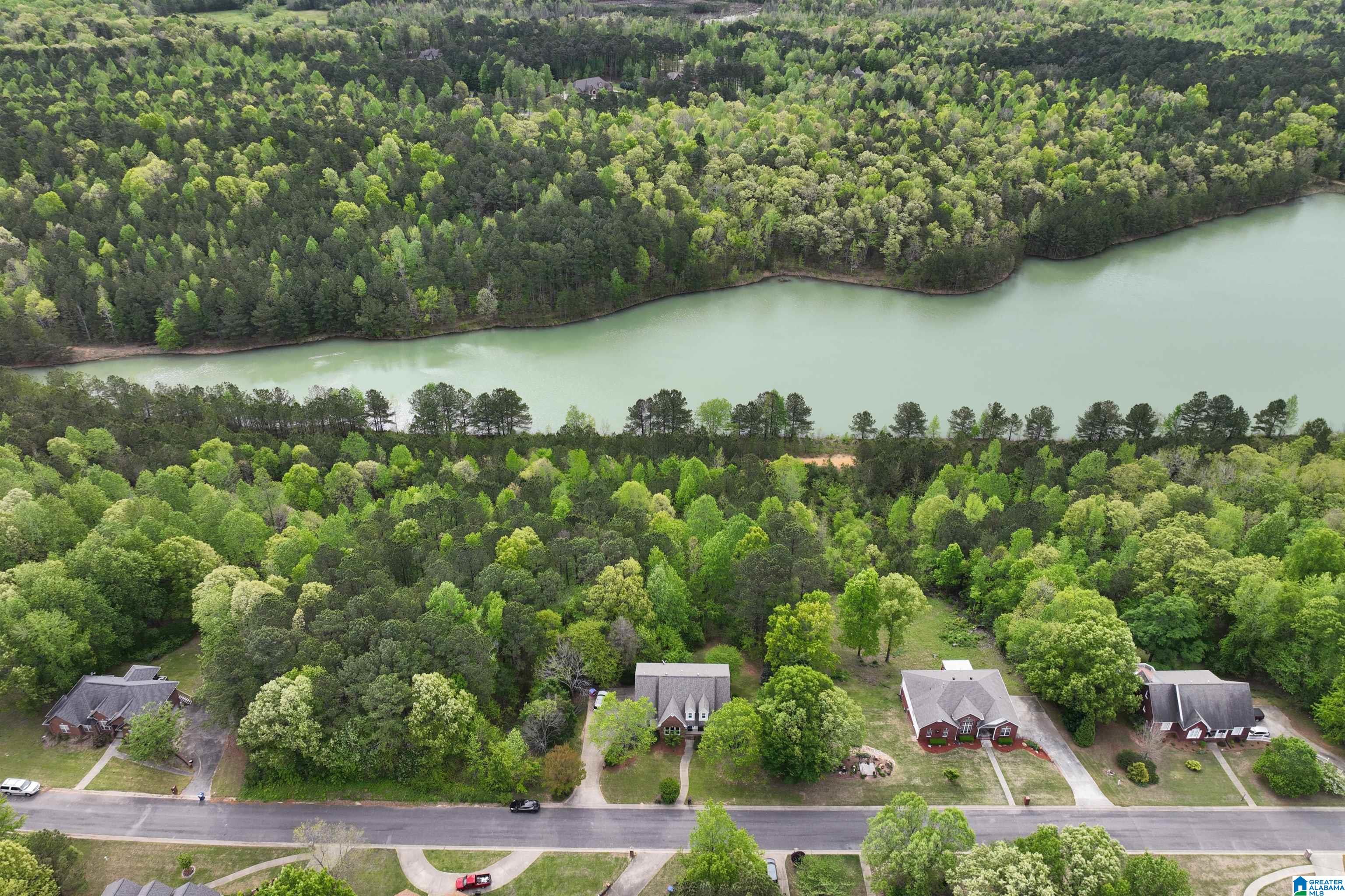 90 Ridgewood Lane Odenville, AL 35120 - Photo 56 of 65