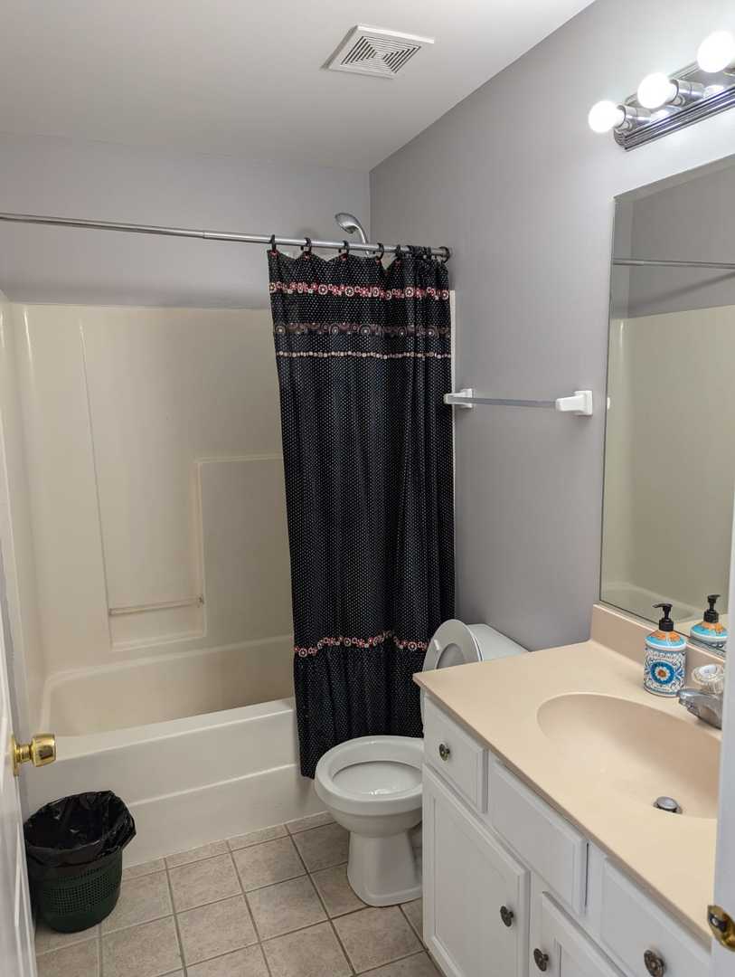 203 North Louis Street, Unit B Mount Prospect, IL 60056 - Photo 10 of 16