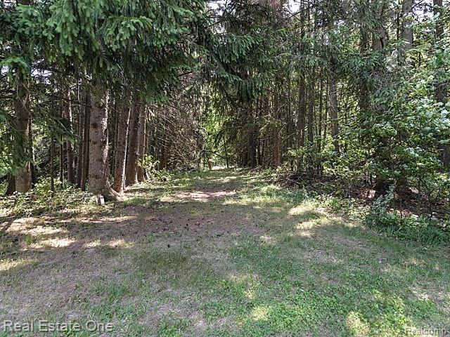 2070 West Wardlow Road Highland, MI 48357 - Photo 43 of 46 10_13.jpg